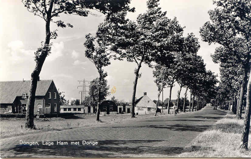 meeren_johannes_en_pieta_van_den_noort_boerderij_links_en_cornelis_j._meeren_en_jeanne_dekkers_rechts_dongen__1970.jpg